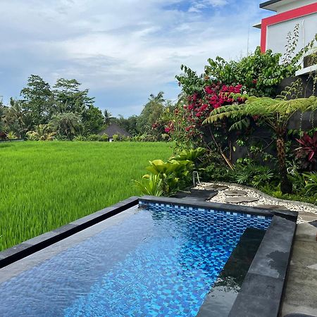Maple Ridge Ubud Villas المظهر الخارجي الصورة