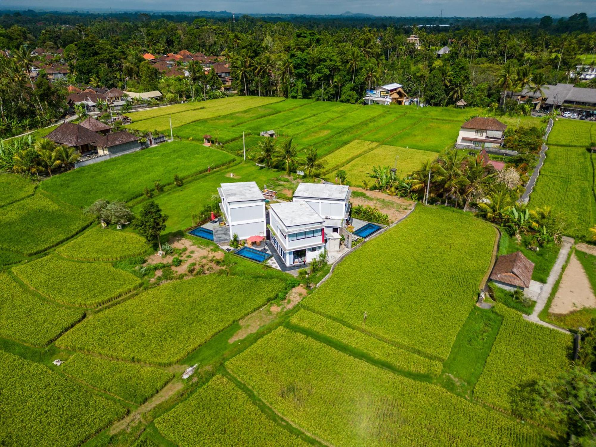 Maple Ridge Ubud Villas المظهر الخارجي الصورة