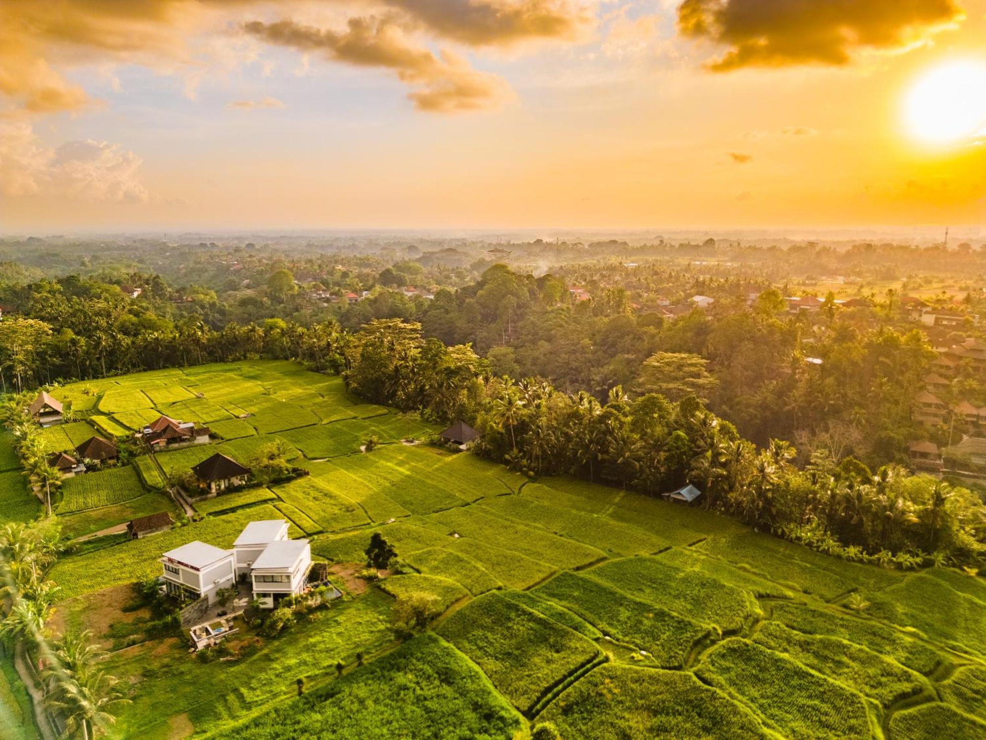 Maple Ridge Ubud Villas المظهر الخارجي الصورة