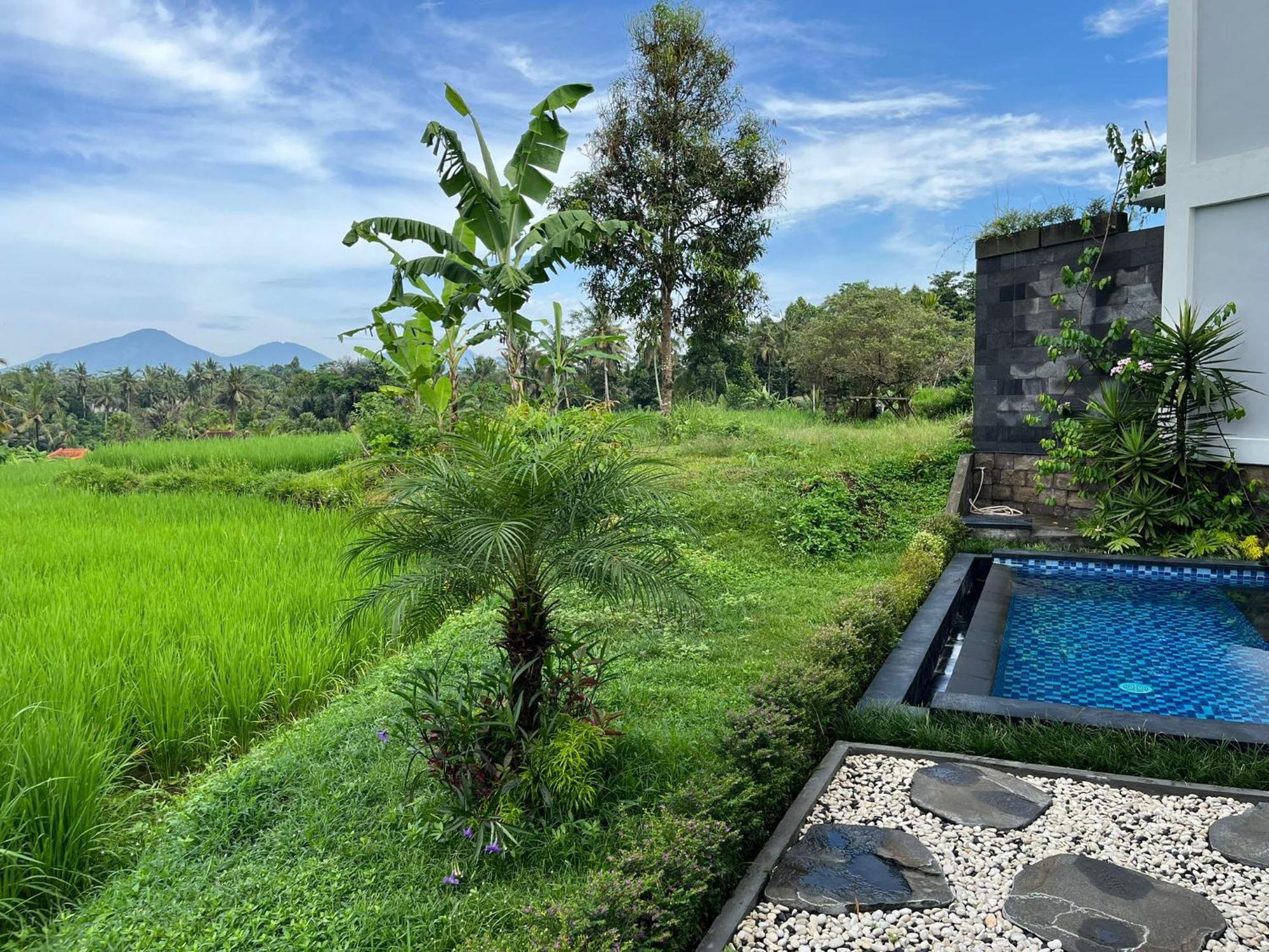 Maple Ridge Ubud Villas المظهر الخارجي الصورة