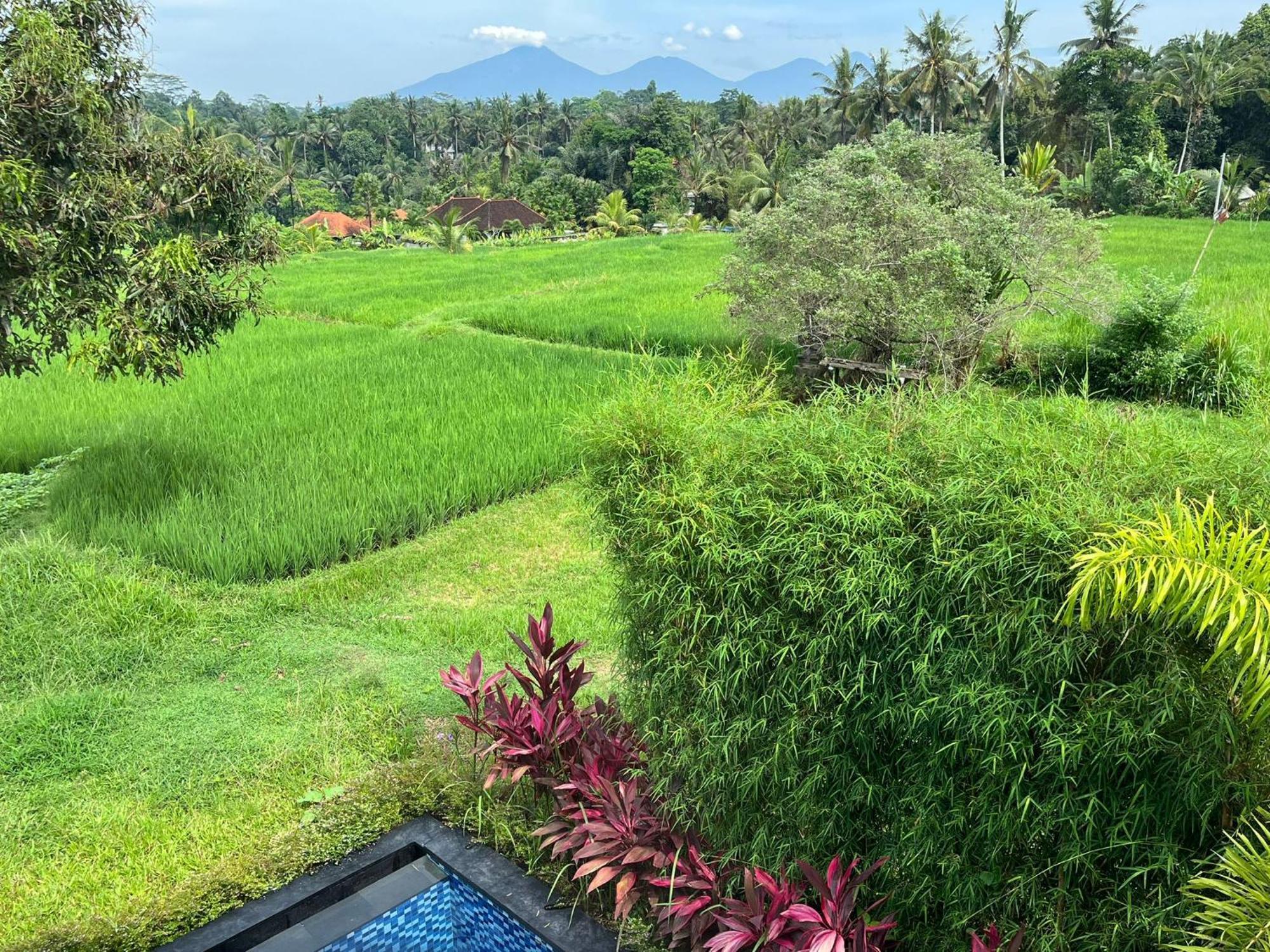 Maple Ridge Ubud Villas المظهر الخارجي الصورة